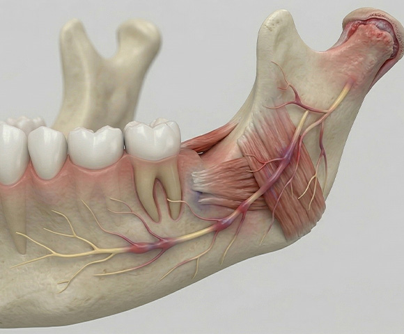 Trastornos de la ATM y Dolor Facial